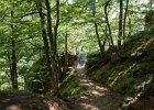 2016 07- D8H6315 : Besök i Växjö, Skåne, Söderåsens Nationalpark